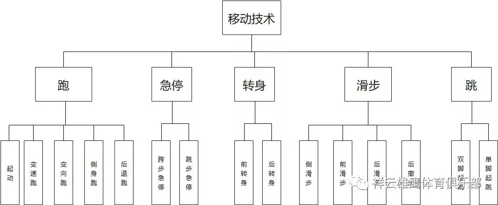 如何制定一个有效的篮球训练支持计划_1